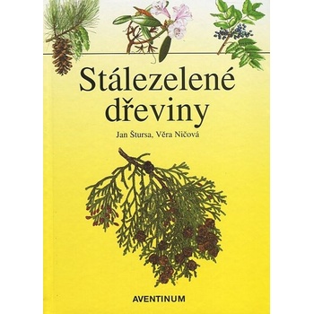 Stálezelené dřeviny