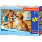 Castorland - Puzzle Dogs at the Vet - 120 piese
