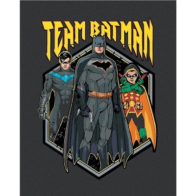 Zuty Tým batman 40 x 50 cm bez rámu a bez vypnutí plátna