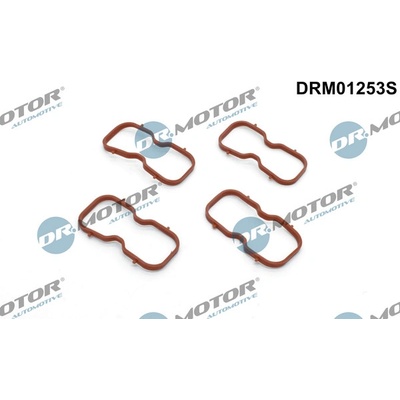 Sada těsnění, koleno sacího potrubí Dr.Motor Automotive DRM01253S