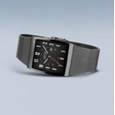 Image 1 of Bering 16433-377