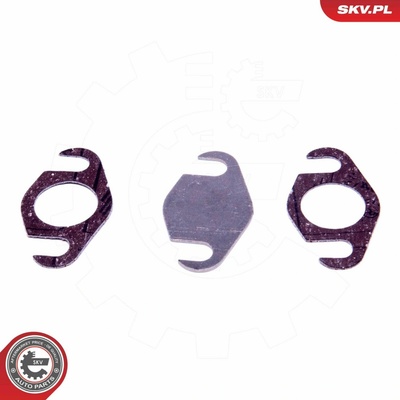Súprava na opravu, ventil AGR ESEN SKV 14SKV558