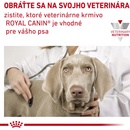Krmivo pre psov Royal Canin Veterinary Health Nutrition Dog Hypoallergenic 14 kg
