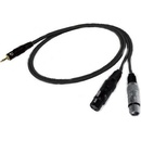 Bespeco EAYMS2FX500