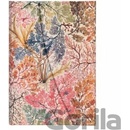 Anemone Mini