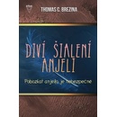 Pobozkať anjela je nebezpečné - Thomas C. Brezina