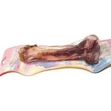 Šunková kost BestBone 140 260 g MEDIO