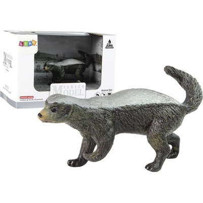 mamido Ratel Honeyeater Zvieratá Afrika