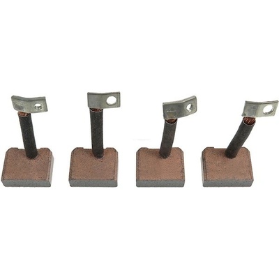 Sada uhlíků startéru - Delco 10456458 RC 140600
