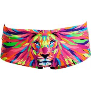 Funky Trunks pride power sidewinder trunks boys 26