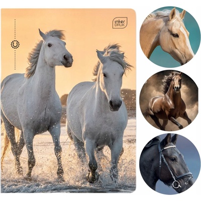Interdruk Zošit A5 mriežkovaný Wild Horses kone