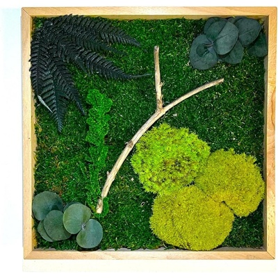 Mechový obraz s rostlinami 3D - čtverec Velikost: 40x40cm