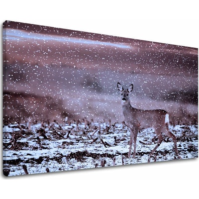 Obraz na stěnu ZVÍŘATA - 80x120 cm