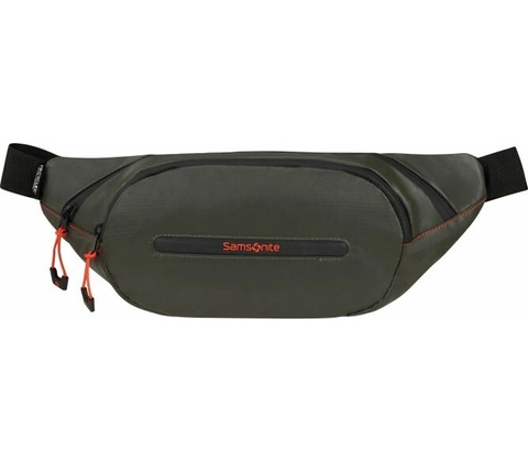 Samsonite Ecodiver