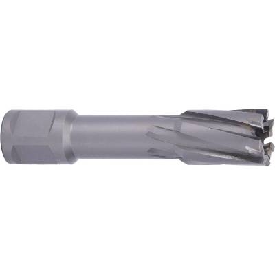 !!!! ABSE N-CA-W19-0190050
