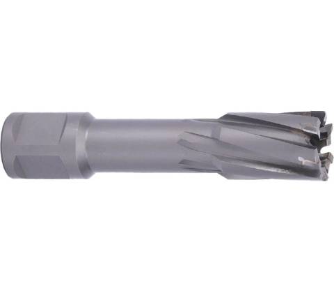 ABSE N-CA-W19-0190050