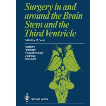 Surgery in and around the Brain Stem and the Third Ventricle