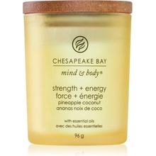 CHESAPEAKE BAY Strength & Energy 96 g