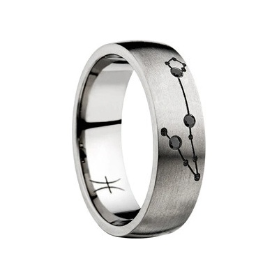 Swepol Titanový prsten Zodiac znamení ryby ZOD K08