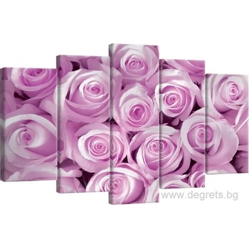 Image 1 of Картина Канава Розови рози 1 Сет 5 части