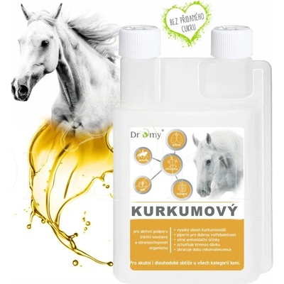 Dromy Kurkumový sirup 1 l
