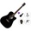 Pasadena PDC-300 Premium SET Black Акустична китара