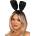 Leg Avenue Bunny Kit