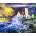 SunsOut - Puzzle Stormy Coast - 1 000 piese