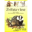 Zvířata v lese