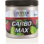  CARBO-MAX 100g