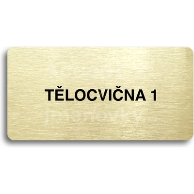 ACCEPT Piktogram TĚLOCVIČNA 1 - zlatá tabulka - černý tisk bez rámečku
