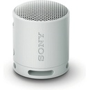 Sony SRS-XB100H