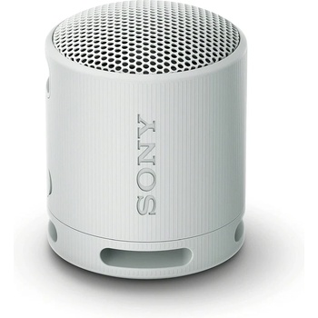 Sony SRS-XB100H
