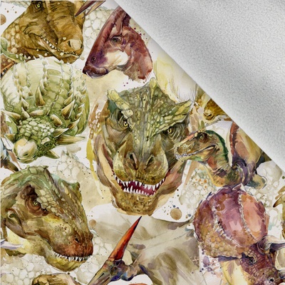 Takoy Látka softshell zimní dinosauři