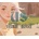 US Visual Novel