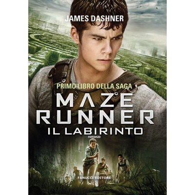 labirinto. Maze Runner