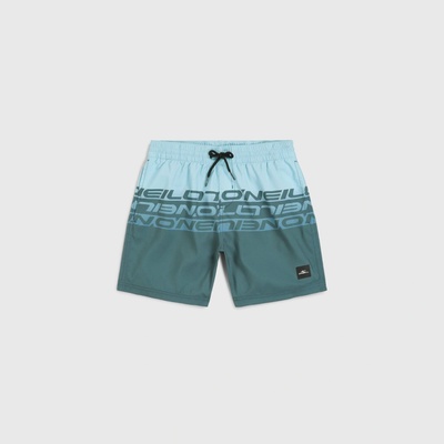 O´Neill Cali Stripe 16'' swim 2800209-35171 zelené
