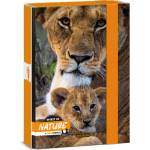 Ars Una Máté Bence-Lion 24 (5433) A5 книжка кутия 50864331 (50864331)