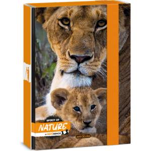 Ars Una Máté Bence-Lion 24 (5433) A5 книжка кутия 50864331 (50864331)