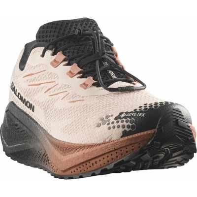 Salomon Aero Blaze 4 Grvl Gtx M L45403200 vanilla ice/black/burro