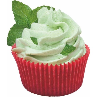 LIANA Ztužovač šlehačky MÁTA 100 g