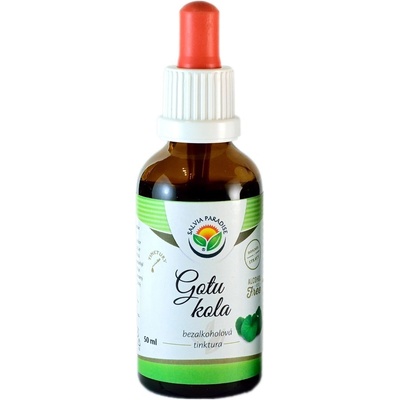 Salvia Paradise Ginkgo biloba AF tinktura 50 ml
