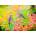Enjoy - Puzzle Spring Melody 1000 - 1 000 piese