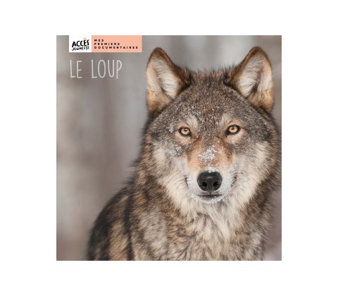 Le loup