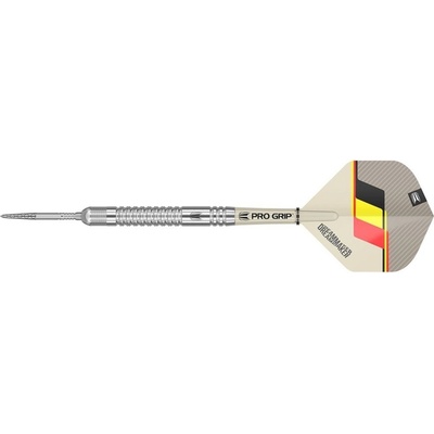 TARGET steel Swiss Point Dimitri Van Den Bergh Gen2 25g, 90% wolfram 21g