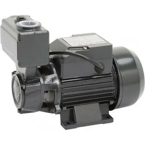 IBO WZI 250 (38456)