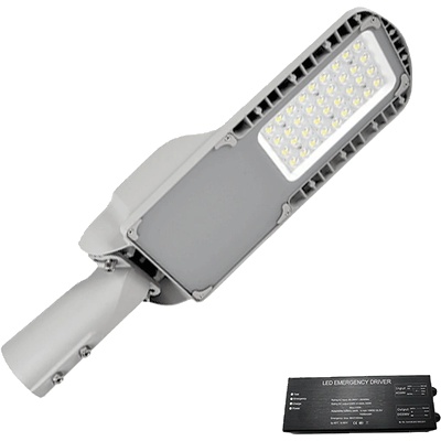 ELMARK Berlin 100w led smd УЛИЧЕН ОСВЕТИТЕЛ+ab (98berlin100smde)