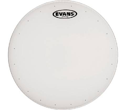 Evans B12DRY