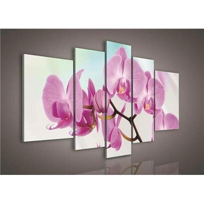 Obraz na plátně orchidej 124S4A, rozměr 170 x 100 cm, IMPOL TRADE