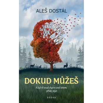 Dokud můžeš